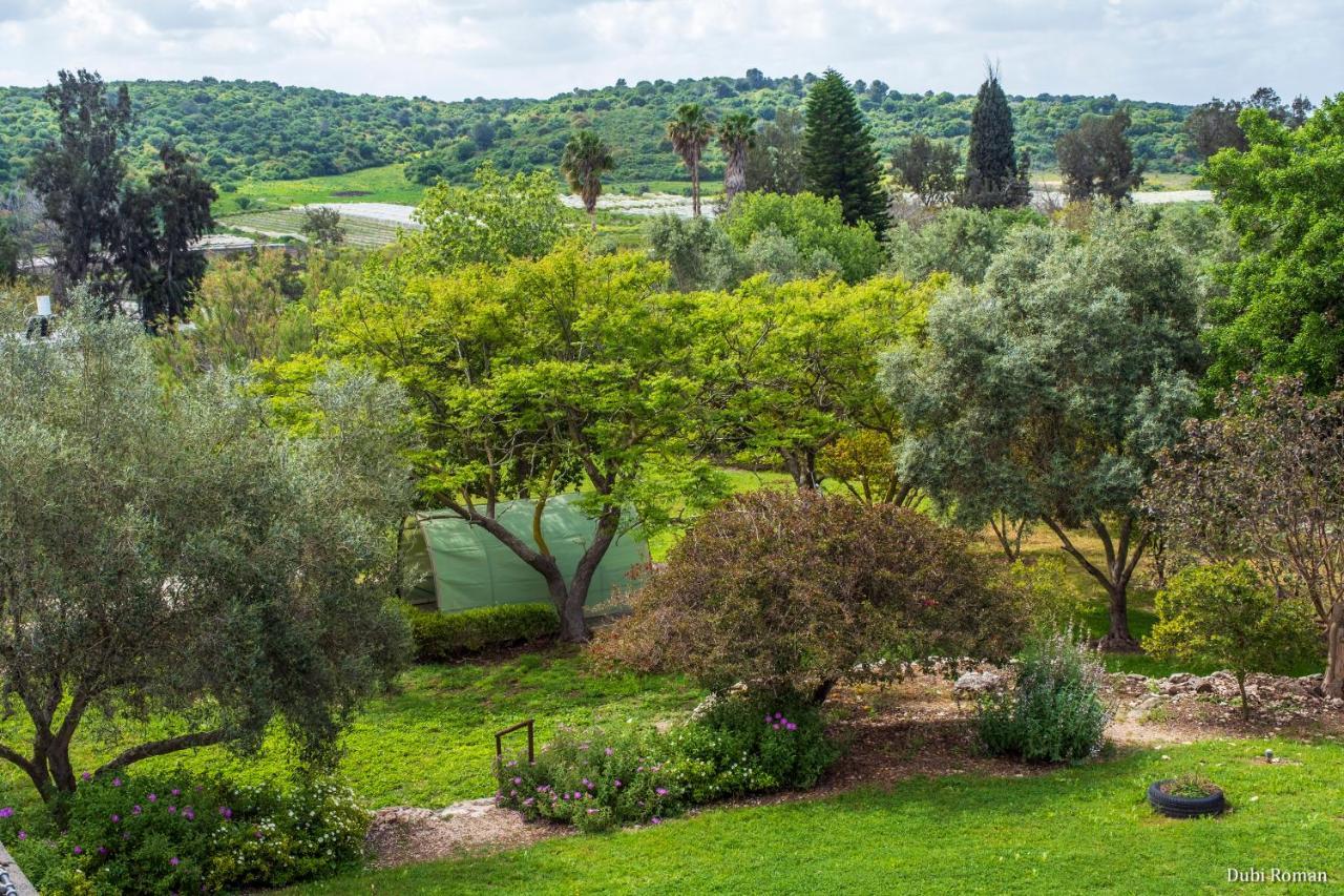 Villa Amikam Meshek 81 משק 81 עמיקם Exterior foto
