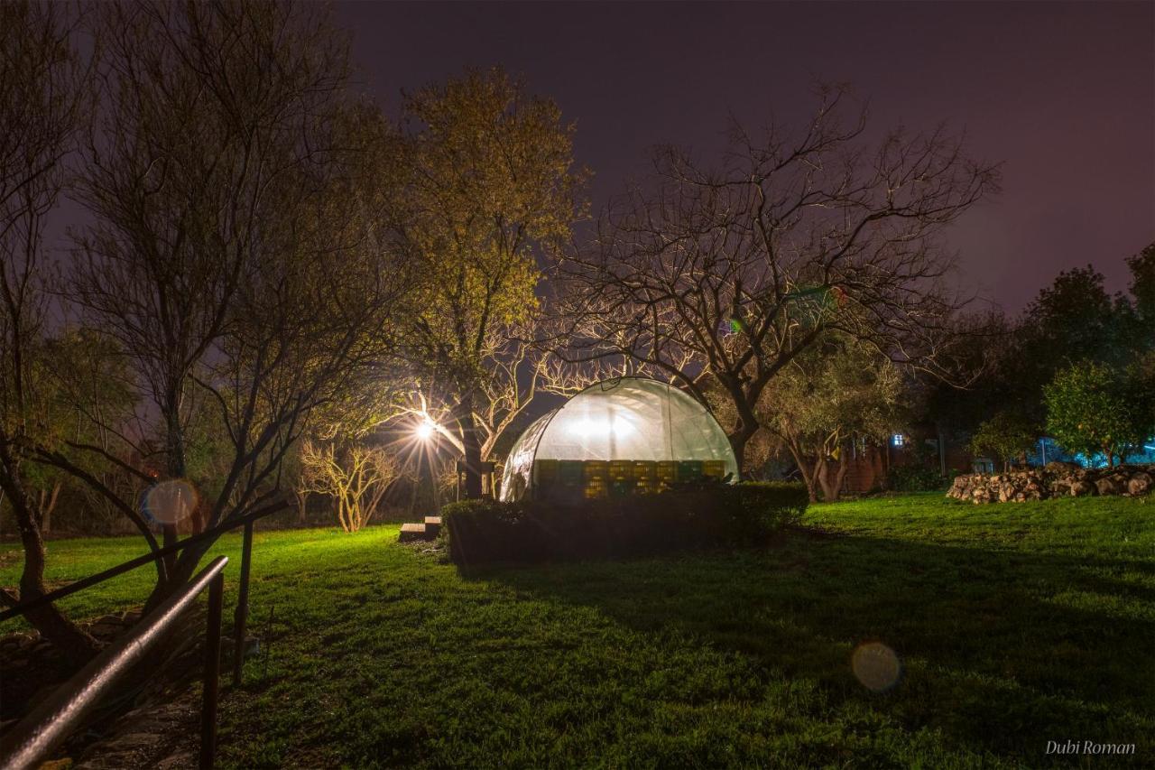 Villa Amikam Meshek 81 משק 81 עמיקם Exterior foto
